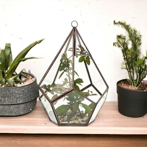 20cm Small Glass Terrarium Plant Holder Diamond Succulent Oddment Candle Display