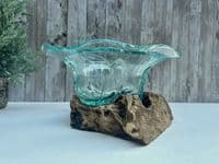 20cm Wooden Root Molten Glass Bowl w Flower Design - Teak Hardwood Unique Piece