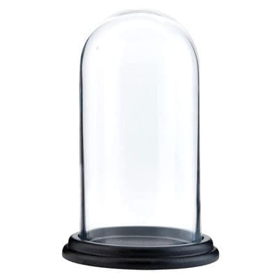 21cm Clear Glass Cloche Dome Bell Jar w/ Black Wooden Base