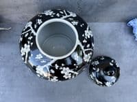 23cm Squat Ginger Jar - Black & White Blossom Floral Ceramic Storage Vase