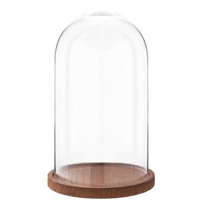 28cm Glass Display Bell Jar Round Cloche on Light Wood Base Display Stand