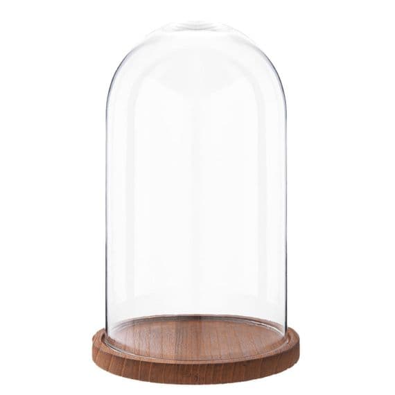 28cm Glass Display Bell Jar Round Cloche on Light Wood Base Display Stand