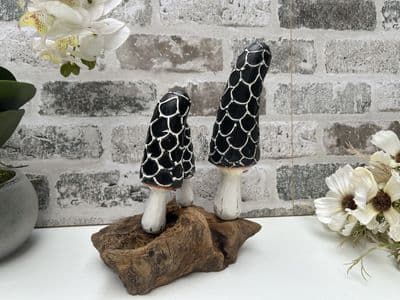 3 Black & White Mushrooms on Teak Root Hand Carved Wooden Ornament Gift