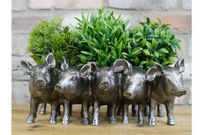 30cm Five Pig Family Planter Plant Holder Flower Pot Display Retro Ornament