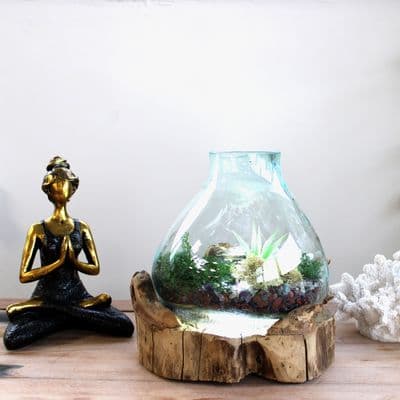 30cm Large Fish Tank Bowl Display w/ Light  Molten Glass on Wooden Teak Root