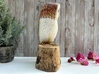 30cm Painted Owl Bird Wooden Ornament Figurine Hand Painted Strigiformes