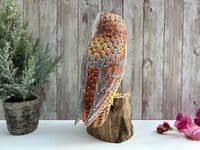 30cm Painted Owl Bird Wooden Ornament Figurine Hand Painted Strigiformes