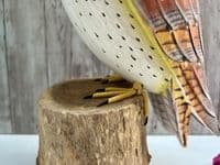 30cm Painted Owl Bird Wooden Ornament Figurine Hand Painted Strigiformes