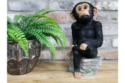 33cm Monkey on Rocks Chimpanzee Chimp Figurine Ornament Gift - Intricate design