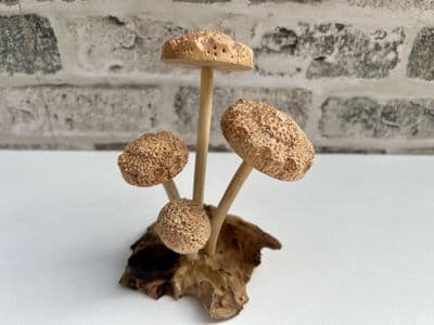 4 Shitake Wood Mushrooms on Wooden Driftwood Base Ornament Sculpture Gift