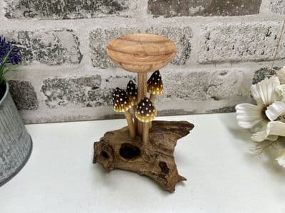 4 Yellow Pointed Cap Mushrooms w/ Tealight Candle Holder - Wooden Teak Root