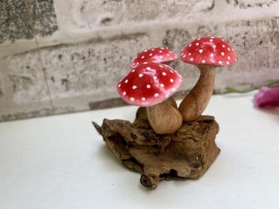 Agaric Red White Mushrooms on Root Wooden Ornament - Hand Crafted on Teak Root