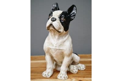 Black & White French Bulldog - 26cm Cute Ornament Figurine Gift Bull Dog