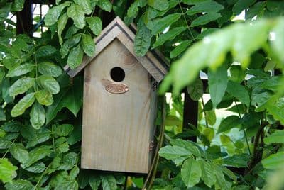 Blue Coal Crested Tit Bird House Box Birdhouse - Wooden w Apex Bitumen Roof