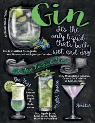 Gin Cocktail Time Metal Wall Sign Plaque 15x20cm Gift Art Steel Black