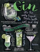 Gin Cocktail Time Metal Wall Sign Plaque 15x20cm Gift Art Steel Black