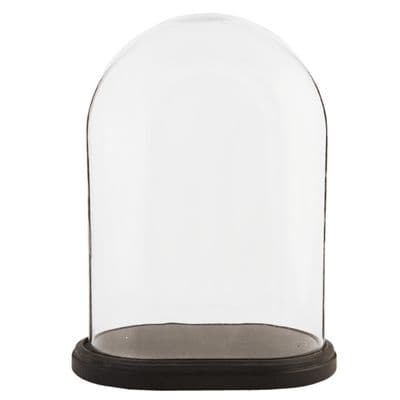 Glass Display Bell Jar Oval Cloche on Dark Wood Base Display Stand 42cm