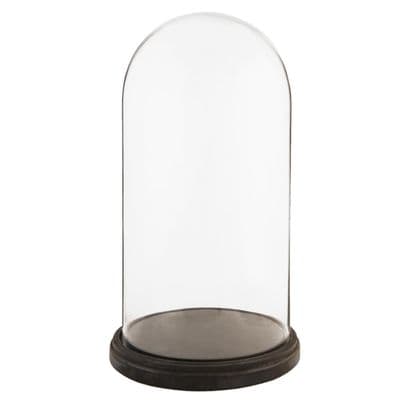 Glass Display Bell Jar Round Cloche Dark Wood Base Display Stand 47cm