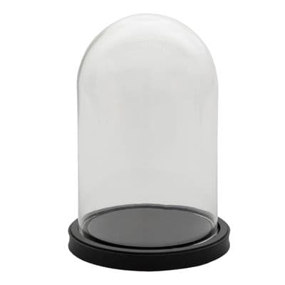 Glass Display Bell Jar Round Cloche on Black Wood Base Display Stand 25cm