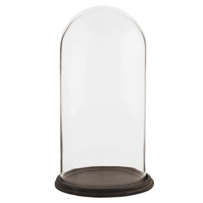 Glass Display Bell Jar Round Cloche on Dark Wood Base Display Stand 39cm