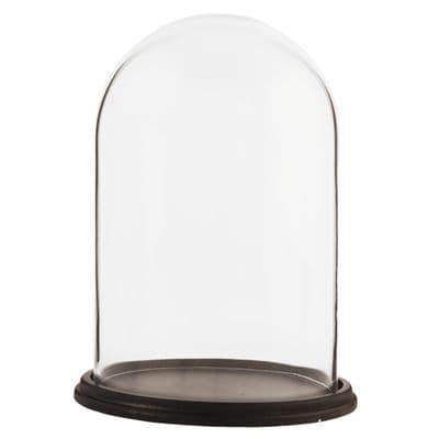 Glass Display Bell Jar Round Cloche on Dark Wood Base Display Stand Dome 31cm