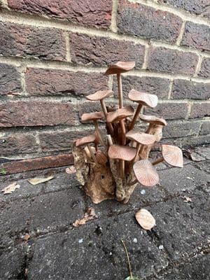 Imperfect 50% OFF Large Wavy Cup Mushrooms on Root Wooden Sculpture Ornament