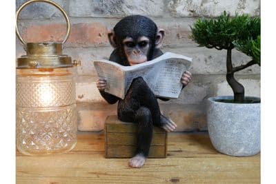 Monkey Reading News Journal Quirky Ornament Statue Figurine Sculpture Gift