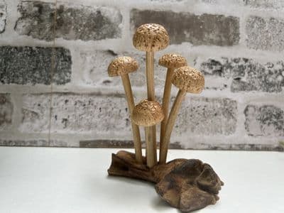 Mushroom Forest on Root Wooden Sculpture Ornament - Hand Crafted on Teak Root