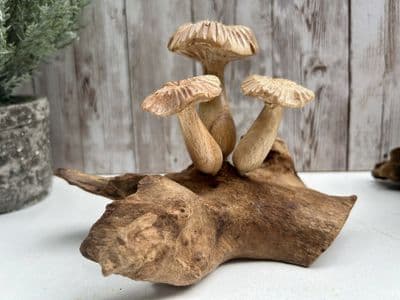 Mushrooms on Root Wooden Sculpture Ornament - Hand Crafted on Teak Root - Gift