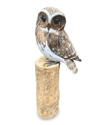 Owl Bird Intricate Wooden Ornament Figurine - Balinese Hand Painted Strigiformes