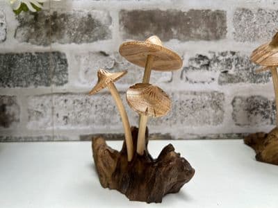 Parasol Mushrooms on Root Wooden Sculpture Ornament - Hand Crafted on Teak Root