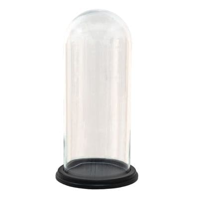 Round Glass Display Bell Jar Round Cloche on Black Wood Base Display Stand 25cm