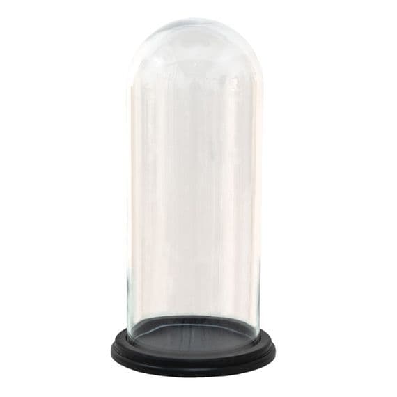 Round Glass Display Bell Jar Round Cloche on Black Wood Base Display Stand 25cm