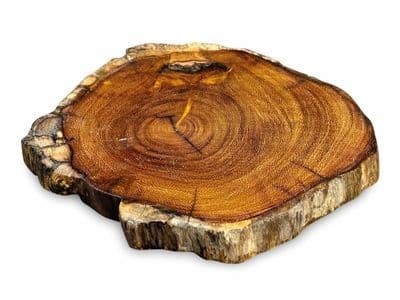 Set 4 Wooden Coaster - Real Tree Root Slice Wooden Teak Drinks Gift - 10-17cm
