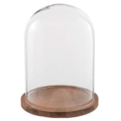Small Glass Bell Jar Cloche Wooden Base Display Cover Stand 28 cm