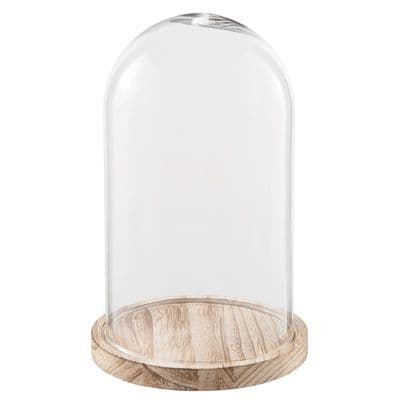 Small Glass Display Bell Jar Cloche on Wooden Base Display Stand 28 cm