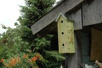 Sparrow Bird Flat Wooden Nesting Box House Garden Wildlife Wall Mounted