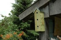 Sparrow Bird Flat Wooden Nesting Box House Garden Wildlife Wall Mounted