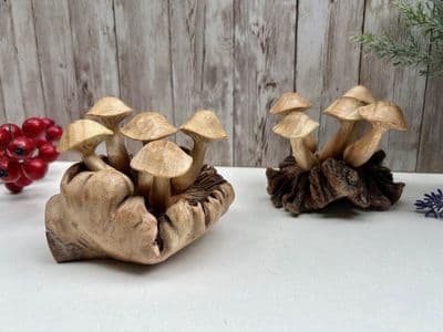 Wavy Cup Mushrooms on Root Wooden Sculpture Ornament - Hand Crafted  - Gift