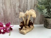 Wooden 4 Eroded Bali Mushroom Sculpture Ornament Gift - Handcarved Teak Root