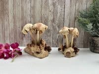 Wooden 4 Eroded Bali Mushroom Sculpture Ornament Gift - Handcarved Teak Root