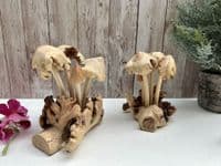 Wooden 4 Eroded Bali Mushroom Sculpture Ornament Gift - Handcarved Teak Root