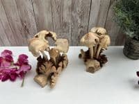 Wooden 4 Eroded Bali Mushroom Sculpture Ornament Gift - Handcarved Teak Root