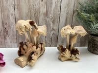 Wooden 4 Eroded Bali Mushroom Sculpture Ornament Gift - Handcarved Teak Root