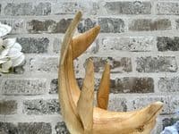 Wooden Wine Bottle Holder Stand Freestanding - Leaping Dolphin Carved