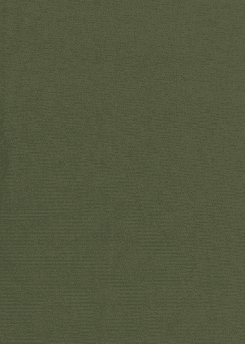 Olive 2025 color sweatshirt
