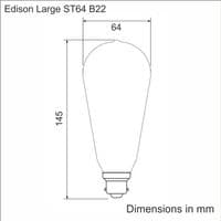 Vintage filament edison light bulb