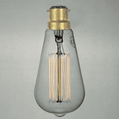 Edison Large Squirrel B22