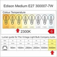 Edison Medium LED E27 Spiral