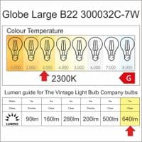 Globe Large LED  B22 Spiral